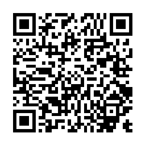 装在不起眼的小袋子某人小时候据说当弹珠玩过的夜明珠二维码生成