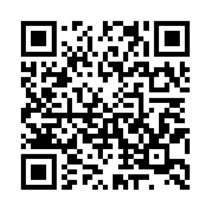 装满了刚刚从树上采摘下来的金黄柿子二维码生成