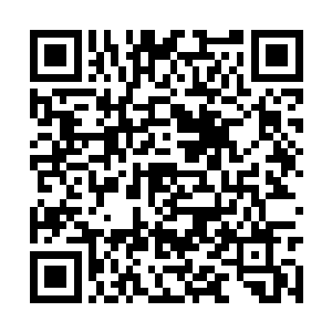 装满了各种蔬果粮食……还有那种堆积起来的木箱二维码生成