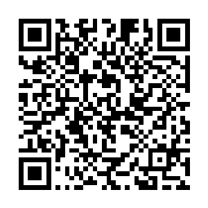 装着军情的文件袋不知怎么的已经到了那年轻人手中二维码生成
