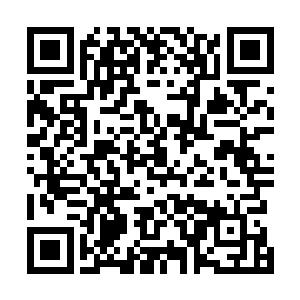 装载九组能源石的机甲在整个星际也只有寥寥可数的五台二维码生成