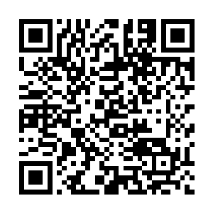 裘先生以公司的名义与wolf之间签订的合同就可以对你无效二维码生成