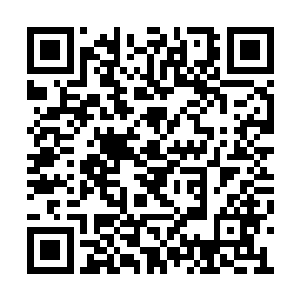 裴子辰看着放在沙发上的包还有床头柜上的娃娃二维码生成