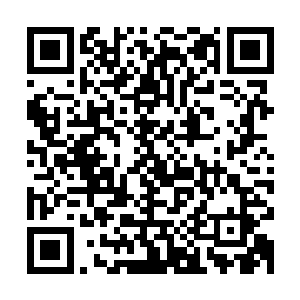 裴家家主就带了三个武帝强者过去的……一下子减少了四个武帝二维码生成