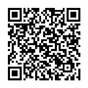 裴家家主带走了家族中明面上几乎所有的武帝强者二维码生成