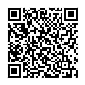 裴心一口气踩着拖鞋二话不说从房里一溜烟窜了出去二维码生成