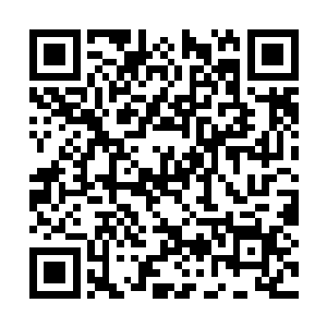裴枢心道难道你的意思是我们都残废了正好配一对二维码生成