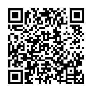 裴洪刚跟本不相信对方能轻而易举的夺掉了自己手里的枪二维码生成
