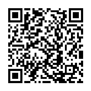 裹着野兽的皮毛握着一根粗大的木棒互相咆哮才对二维码生成