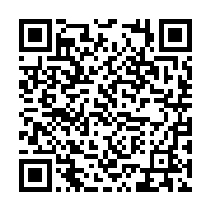 裹起言笑梦和乔任女便走――既然要装是无修为的二维码生成