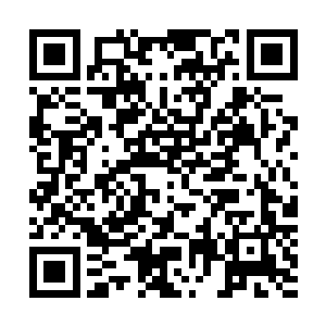 褚家和陶家接连失踪了几个高阶游仙……生不见人死不见尸二维码生成