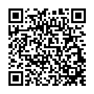 褚青第一次觉得找个艺术院校毕业的女朋友还是挺靠谱的二维码生成