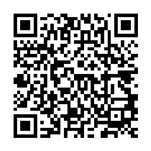 西军丁卯镇天字卫下一支十五人小队正在猎杀被卷入此地的墨族二维码生成