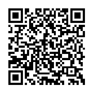 西军诸将从这番话中听到的是回返陕西将养元气二维码生成