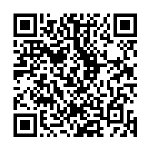 西塔县委县政府的这个构想据说是得到了陆为民的高度赞誉二维码生成