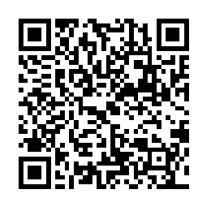 西夏有很大的可能会顺着两个孩子计划的那样归还大齐国土二维码生成