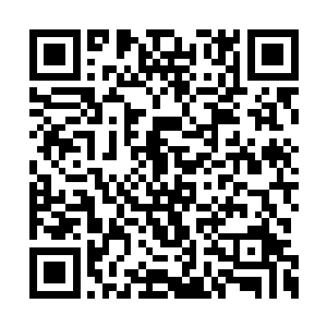 西天降下的金凤白象王有着所向无敌的至大威严二维码生成