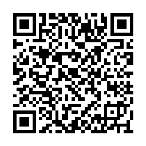 西婆罗洲的每一寸土地上都浸染了兰芳人的鲜血二维码生成