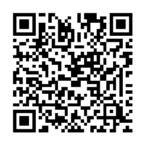 西方大陆的各个佣兵团都是豪门家族与各个国家手上的廉价棋子二维码生成