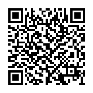 西格弗里德淡淡地将他家族里面的纷争讲述了下二维码生成