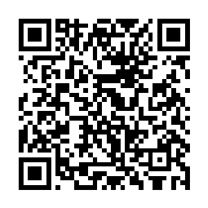 西格玛小心翼翼在安全的位置指挥机甲张开了机械手二维码生成