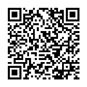 西格玛想立刻从伊普西龙身上把自己嵌在上面的腿和屁股取下来二维码生成