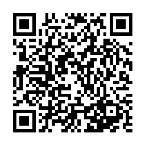 西格玛果然在那本书上看到了一颗圆润的西红柿……的照片二维码生成