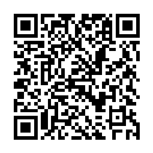 西格玛的图像处理系统比其他字母机器人都要先进整整一代二维码生成
