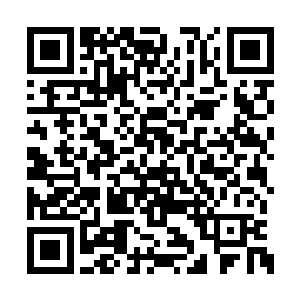 西格玛的幽光屏又闪起了代表快活的蓝色波浪线二维码生成