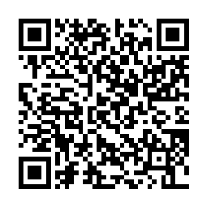 西格玛还一本正经的对几个机器人发布了归还时间通告二维码生成