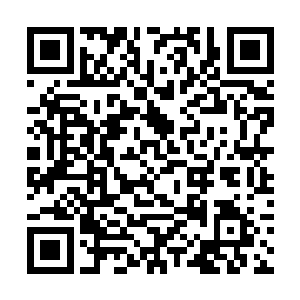 西楚二皇子澹台真等了这么久都不见他们把人带回来二维码生成