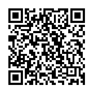 西瑟先生饶有兴致的站在硕大的活动解说牌前看了一遍活动说明二维码生成
