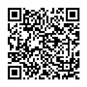 西瑟夕里·罗·纳什基尔在这个世界上原则上不会对任何人畏惧二维码生成