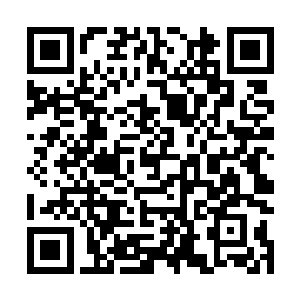 西瑟夕里·罗·纳什基尔虽然自己就有一只眼睛是金黄色二维码生成