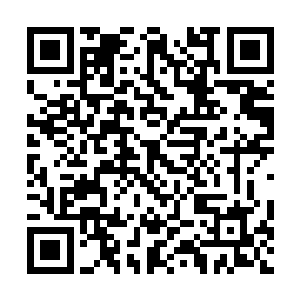 西瑟夕里·罗·纳什基尔衷心的对眼前的少年道谢了二维码生成