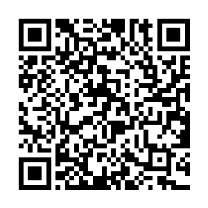 西荆迁都军队自然是先抢救走药材的因为大灾难之后二维码生成