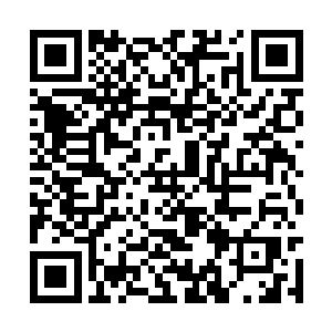 西莲五峰作为这片轩辕大陆上最强的道修宗派青阳二维码生成