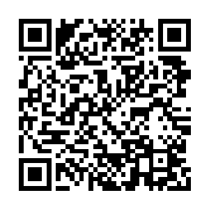西蒙也把自己的独门绝技传授了基地里的其他人二维码生成