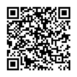 西门世家再强大也会被这突然的袭击弄得反应不过来二维码生成