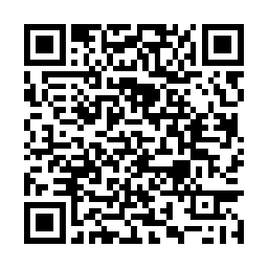 西门吹雪现在已经将他手下的精英全部都派了出去二维码生成