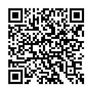 西门外的那员负责指挥的白狮将领速是震起神色二维码生成