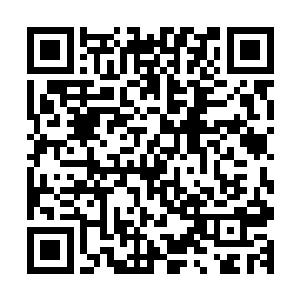 西门家实力高强的一些年轻后代一个又一个的不断的消失不见二维码生成