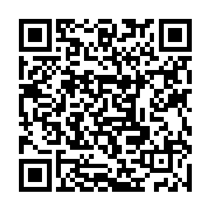 西陵的雷振霆和西陵皇如今也几乎是明面上撕破了脸二维码生成