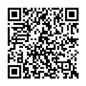 西魔使的握持天子印玺的那只手颤抖得更厉害了二维码生成