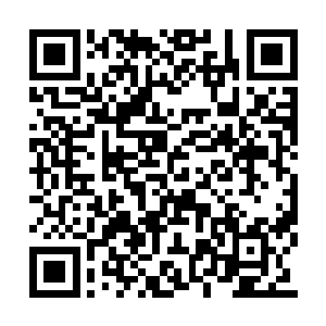 要不……你也一起上来吧……我……我不介意的二维码生成