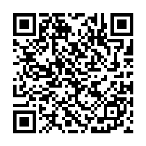 要不你再用一下镜花水月追踪术……看看他们……二维码生成