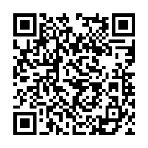 要不张真叔叔你给我们具体秒回一下当初的场景吧二维码生成