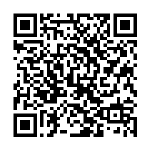 要不我找洪城城主吕备毕担保我不是三大势力中人如何二维码生成