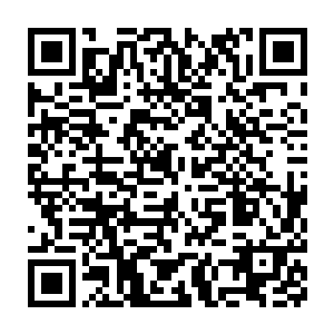 要不改天我给你弄一堆漂亮的母老鼠让你也尝尝最难消受美人恩的滋味二维码生成