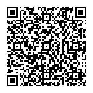 要不是他从龙傲天身上发现龙傲天的气息是一个地地道道的人类的话他甚至都有些怀疑龙傲天不是人了二维码生成